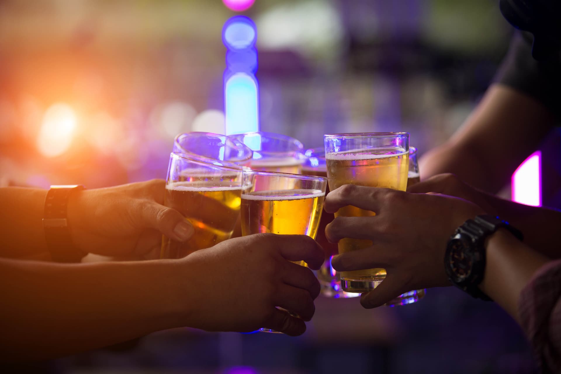 The Royal Albatross - Luxury Tall Ship Cruise Ticket - image 30